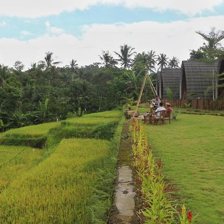 Omah Bapak Ijen Eco House Hotel Licin Buitenkant foto