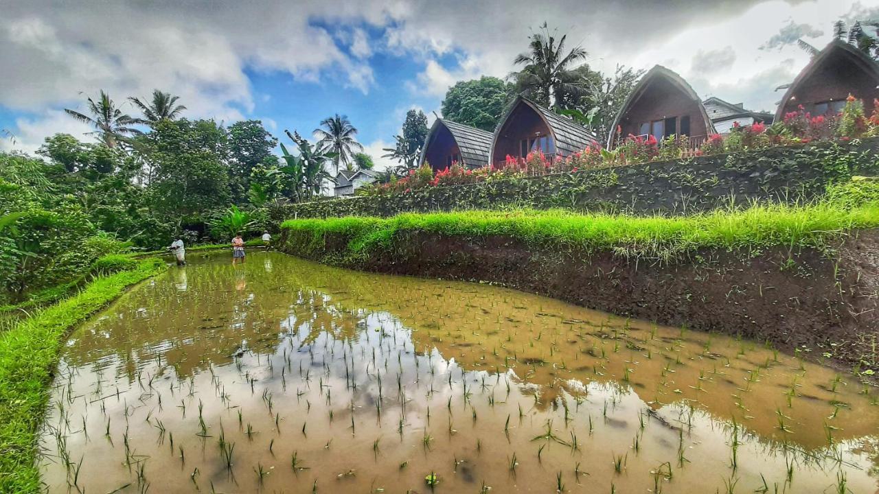 Omah Bapak Ijen Eco House Hotel Licin Buitenkant foto