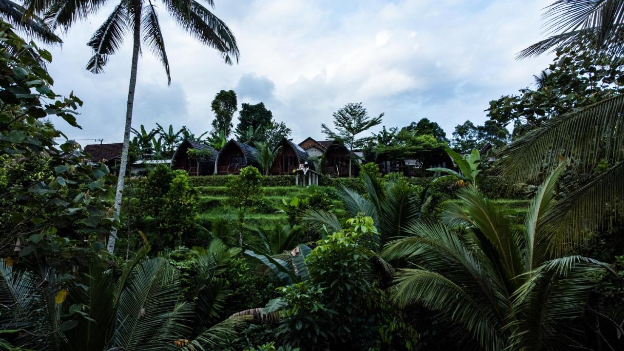 Omah Bapak Ijen Eco House Hotel Licin Buitenkant foto