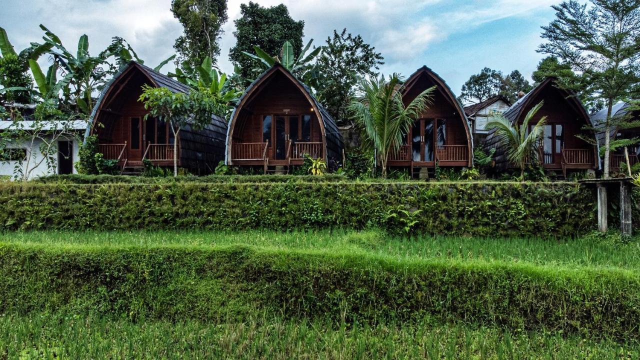 Omah Bapak Ijen Eco House Hotel Licin Buitenkant foto